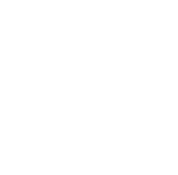 Wildcard
